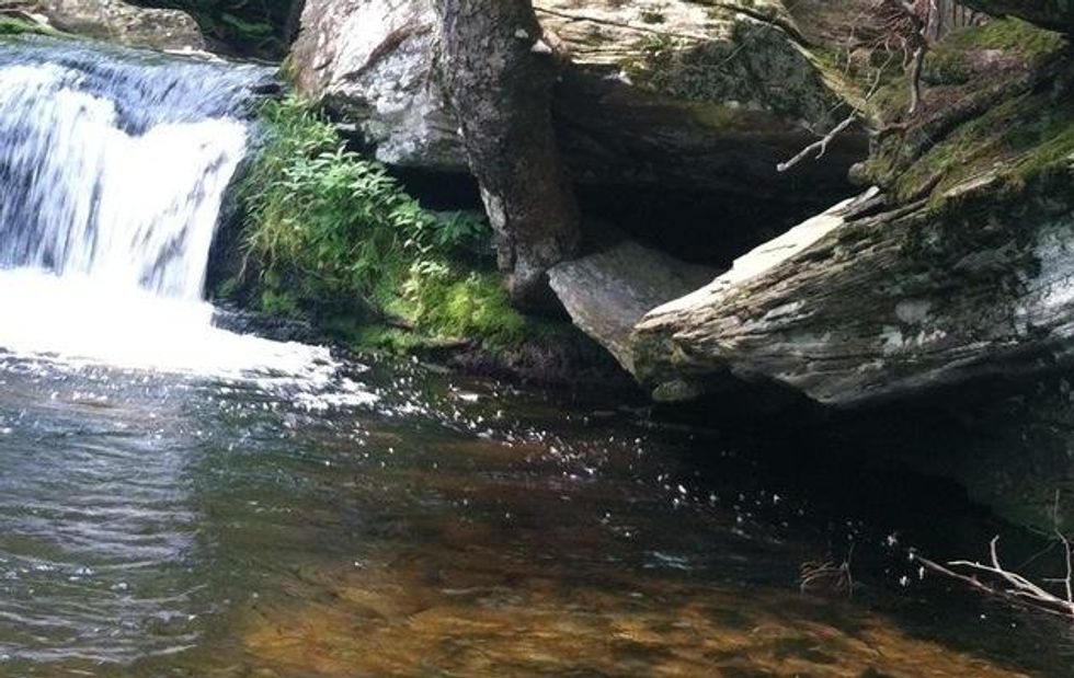 Oie_29234214e8xly66v