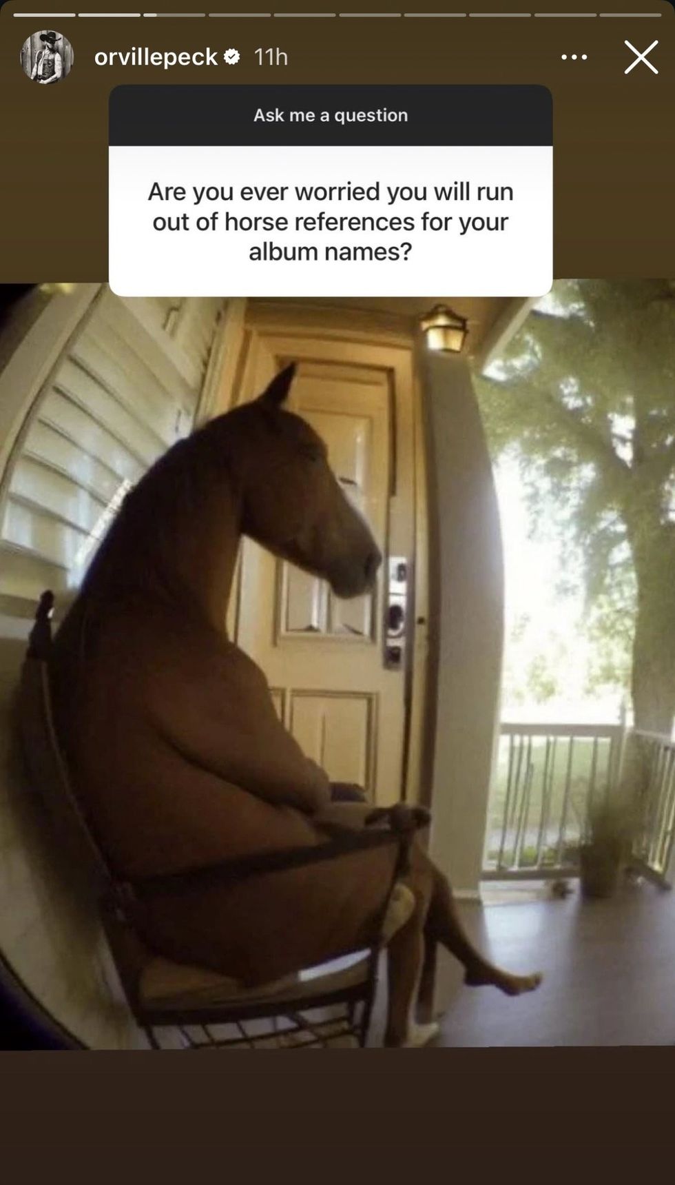 Orville Peck via Instagram story