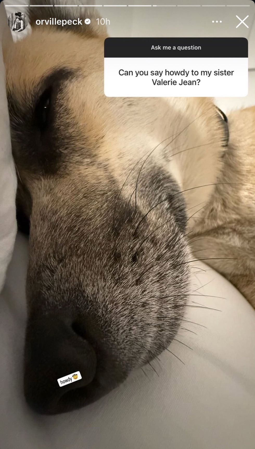 Orville Peck via Instagram story