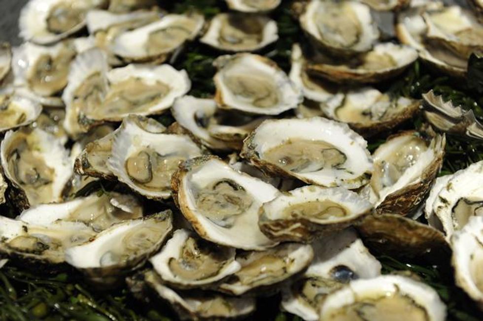 OUT at Sea with Celebrity Cruises