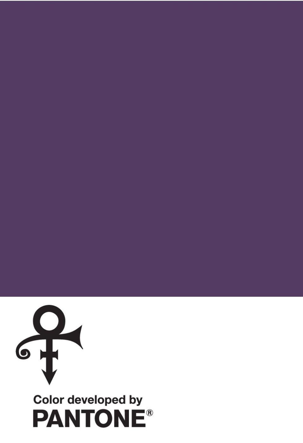 Pantone-prince-purple-paint-chip