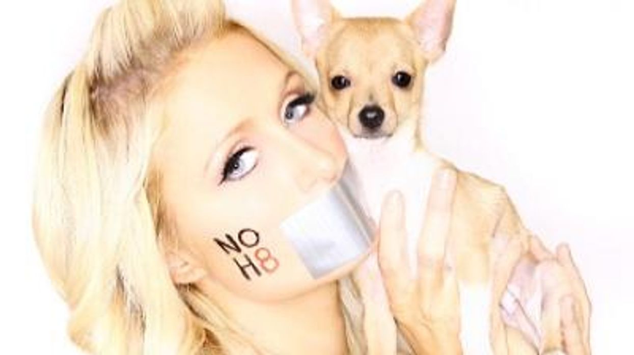 Paris-hilton-rotator