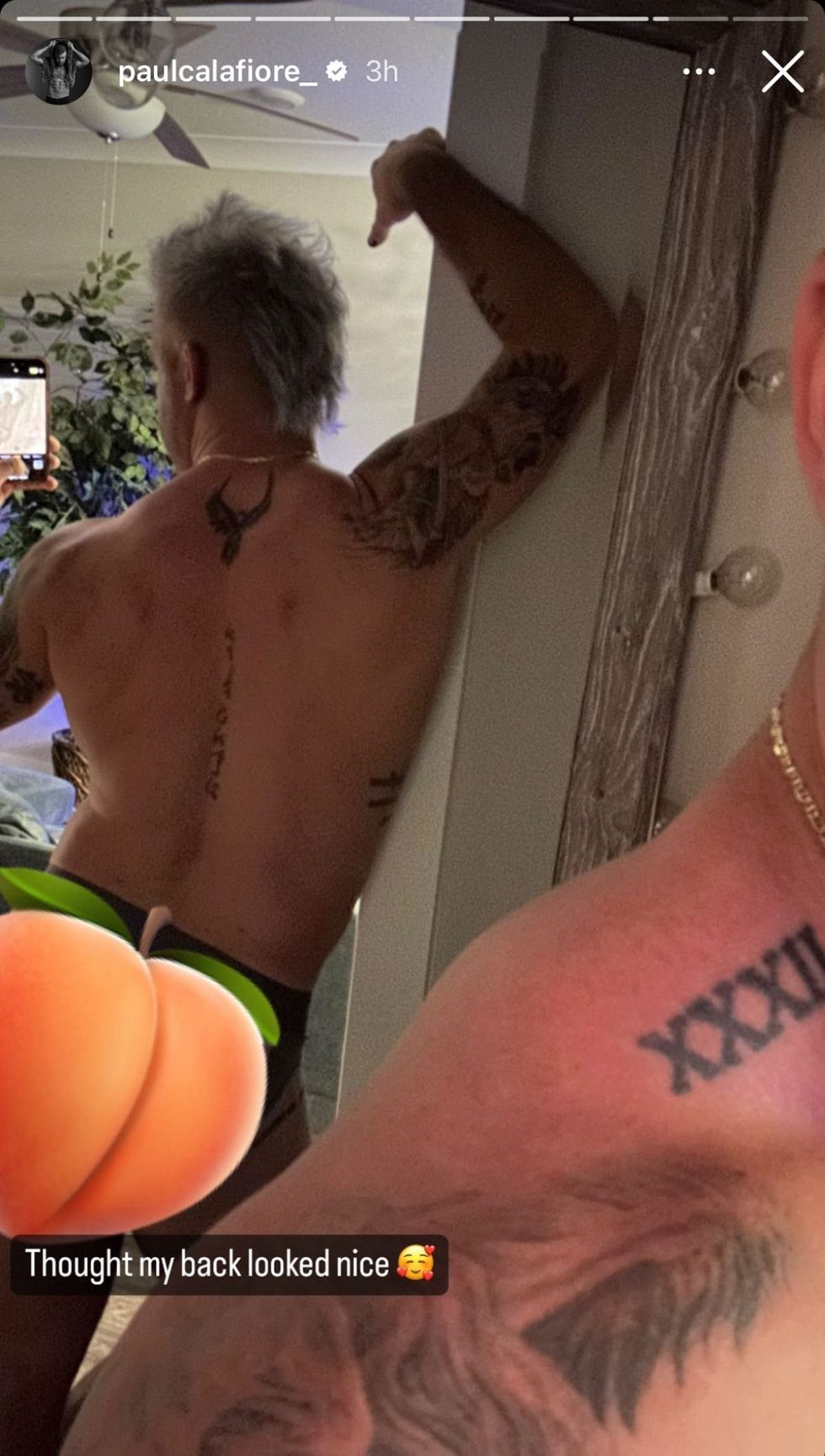 Paulie Calafiore via Instagram story