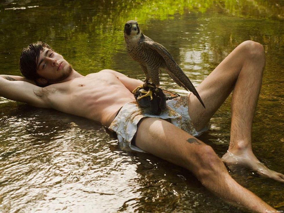 Peale’s peregrine falcon (Falco peregrinus pealei)