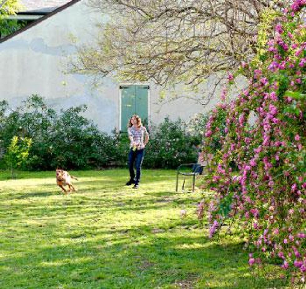 Perfectdaybigfreedia_3_0