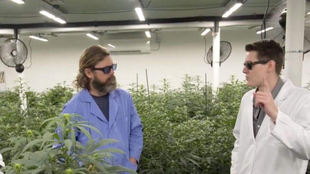 Photo courtesy of Cannador