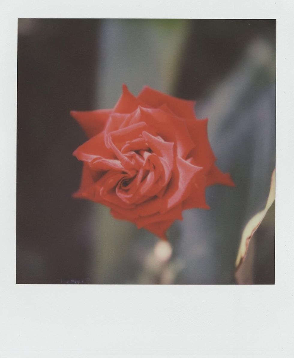 'Pictures' by Stuart Sandford