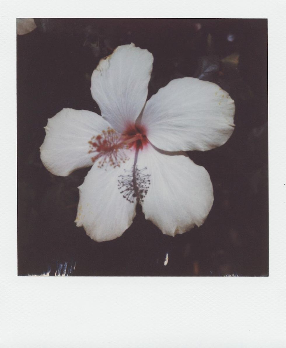 'Pictures' by Stuart Sandford