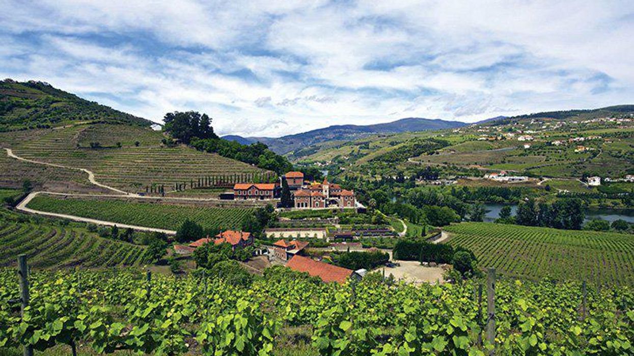 Portugal wine tour