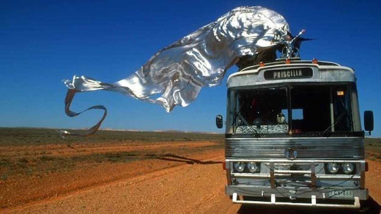 Priscilla-shoe-bus