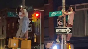 Knicks fans go viral with steamy gay kisses in the streets