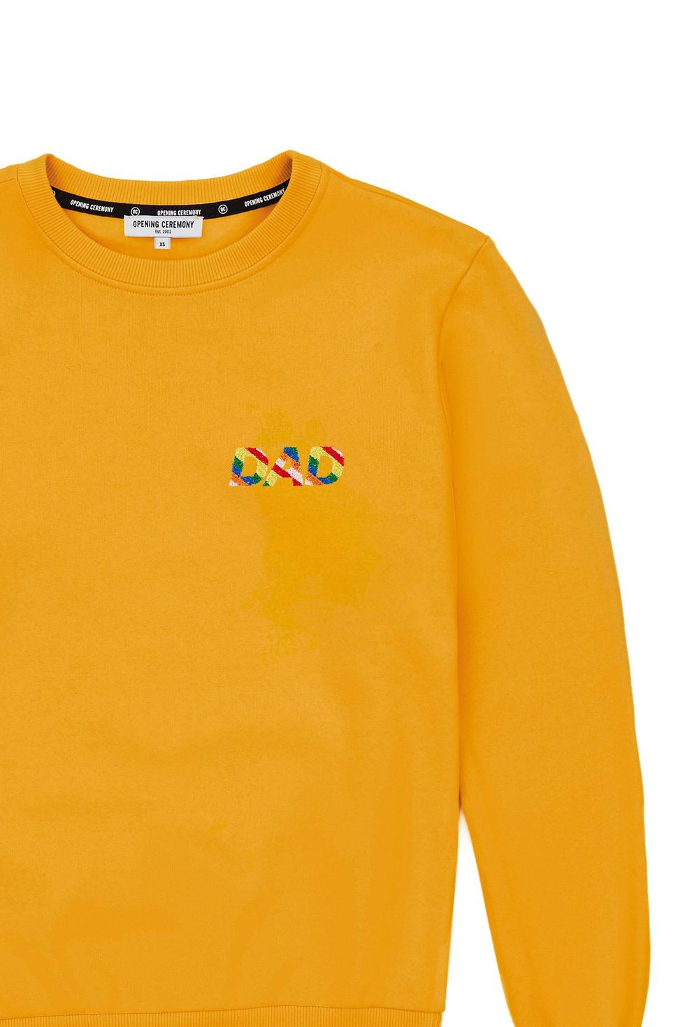 Rainbow Dad Sweatshirt