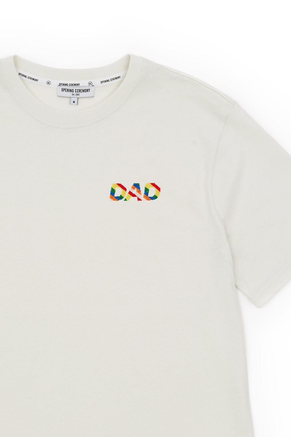 Rainbow Dad Tee