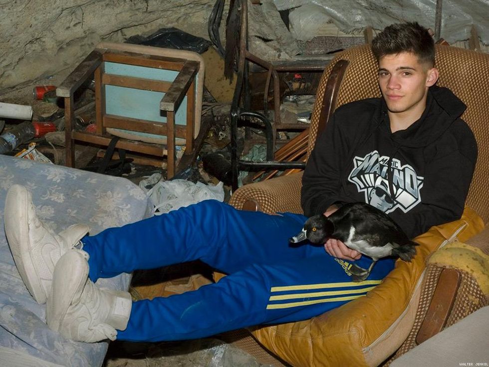 Ring-necked duck (Aythya collaris)