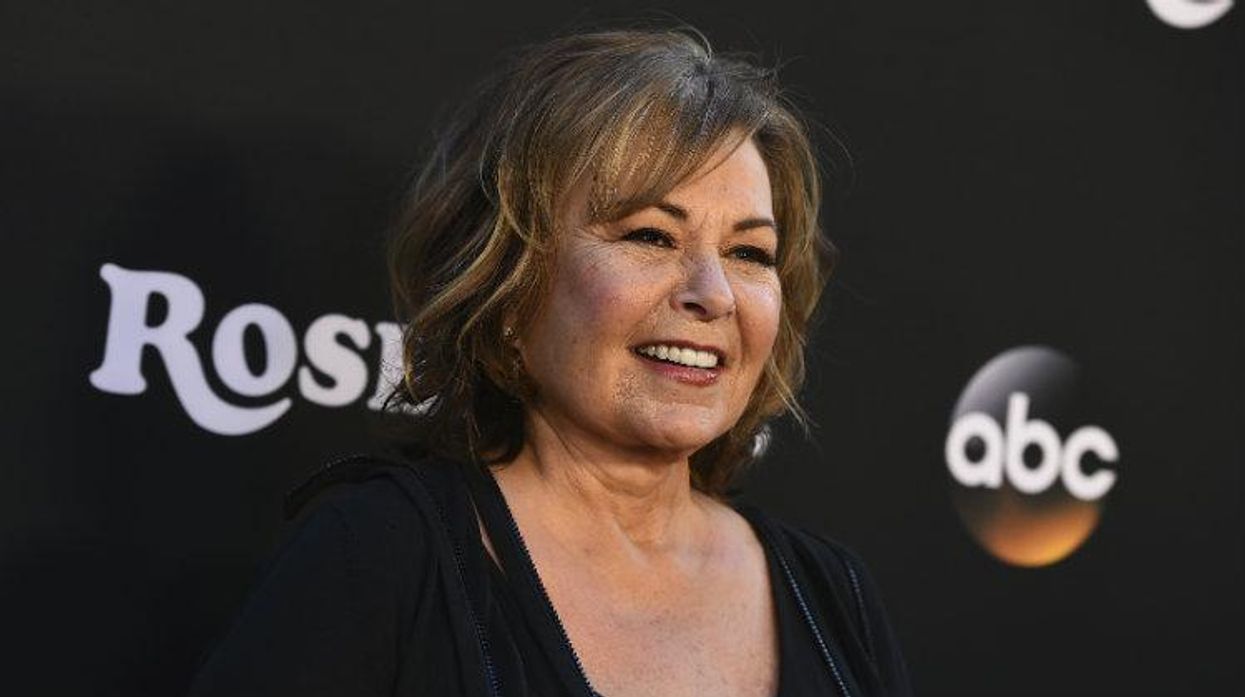 Roseanne Barr, Roseanne, ABC