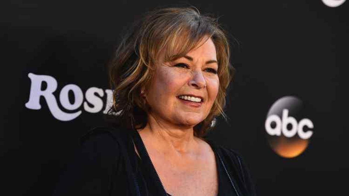 Roseanne Says She's a 'Hate Magnet' Who Didn't Say Anything Racist