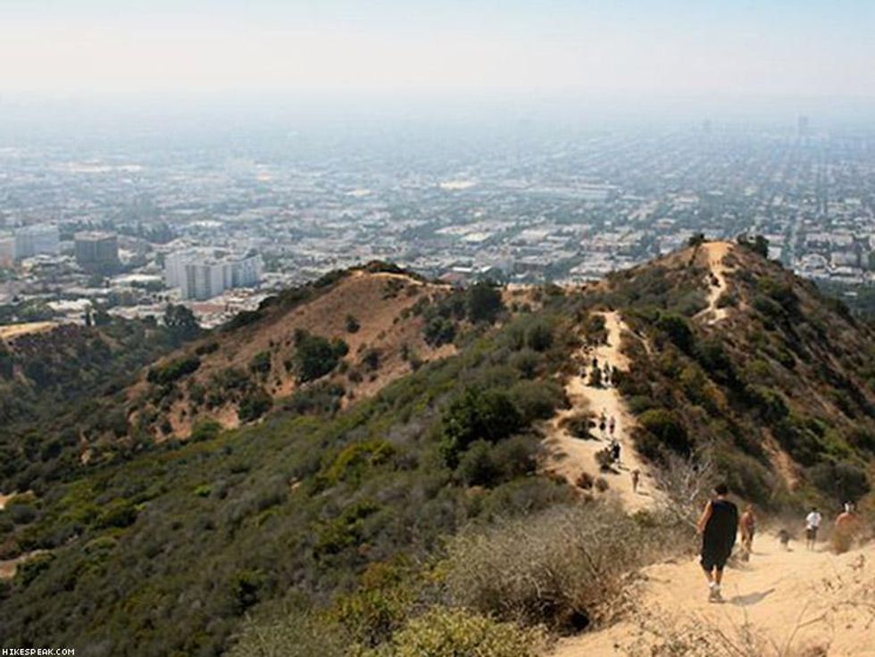 Runyon