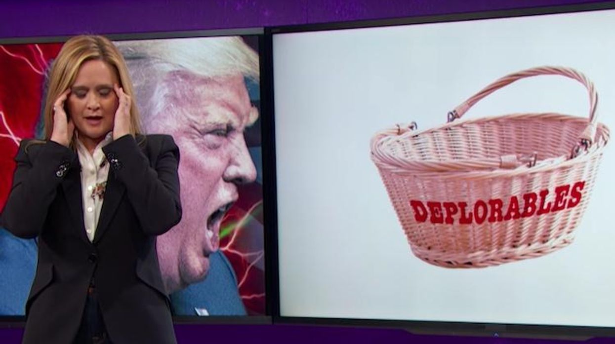 sam-bee-basket-of-deplorables