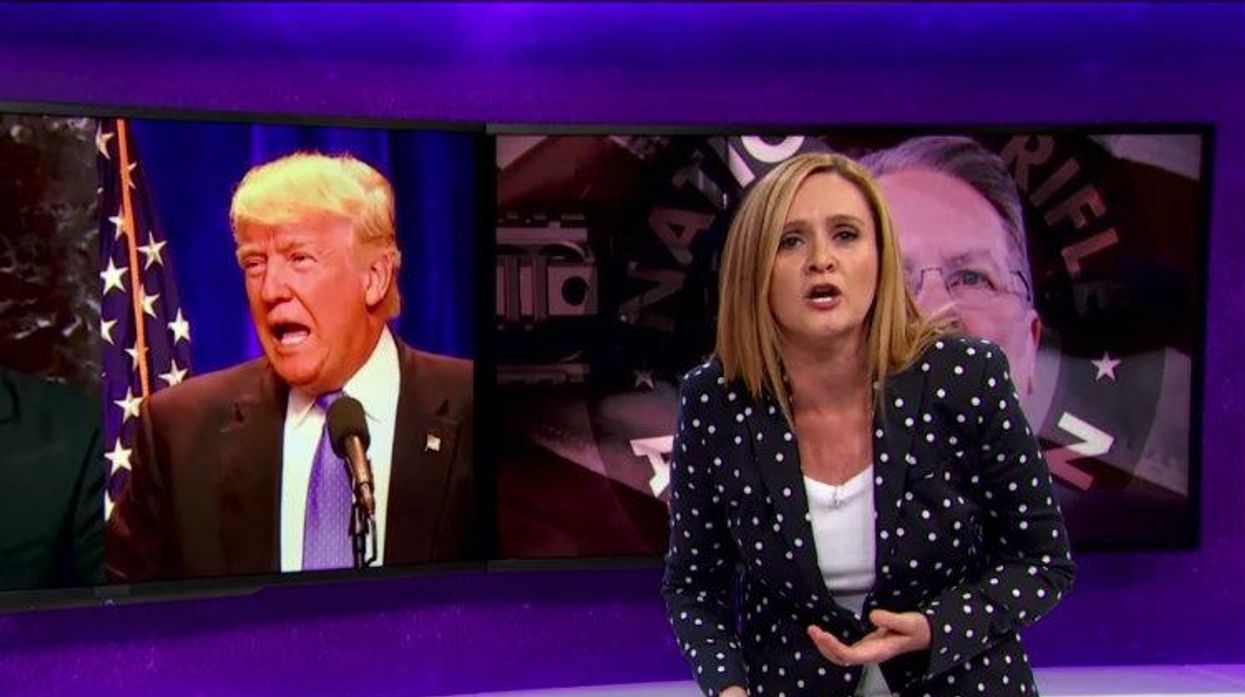 Samantha Bee, Donald Trump