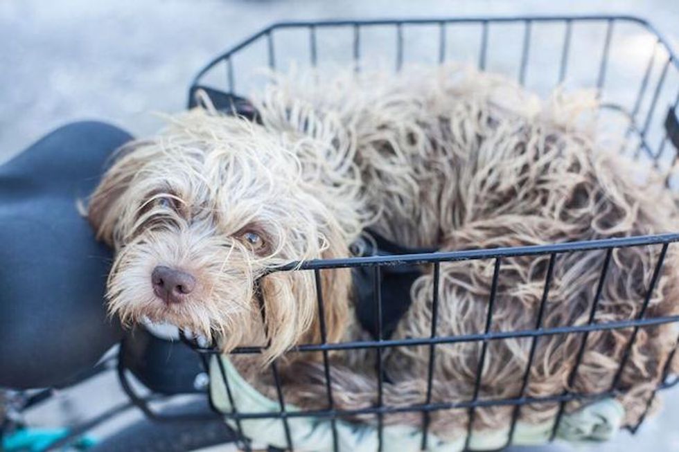 Santa Maria Novella whitening powder, mouthwash gel, and spot neem lotion