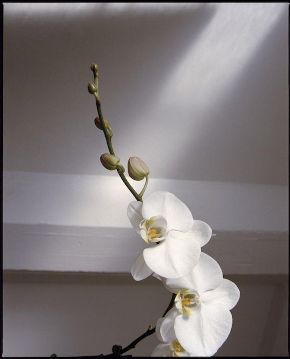 Santana Bellas' Military Aesthetic Captured By Parker Woods