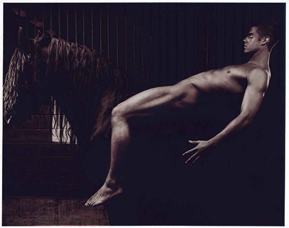 Scan_equus-02_290%20copy