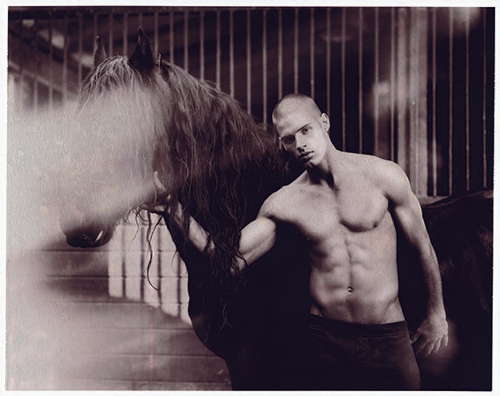 Scan_equus-03_290%20copy