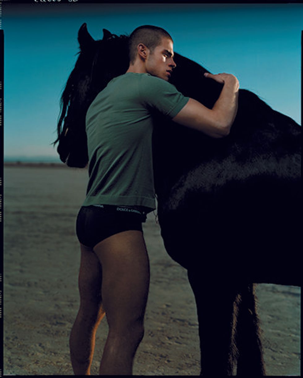 Scan_equus-8c_290%20copy