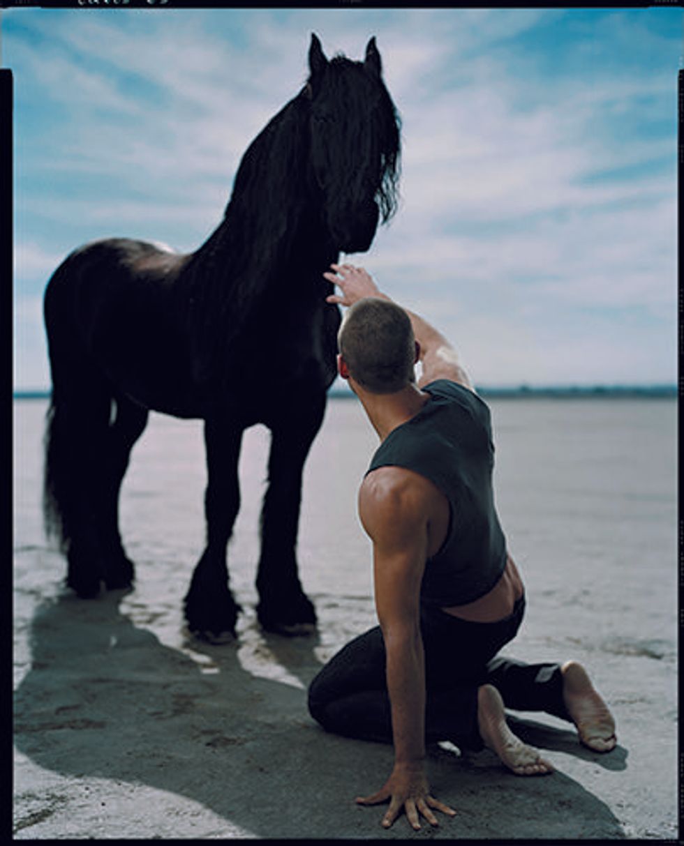 Scan_equus-od_290%20copy