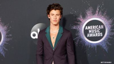 Shawn Mendes Tops Gay Porn Site's Most Searched Terms