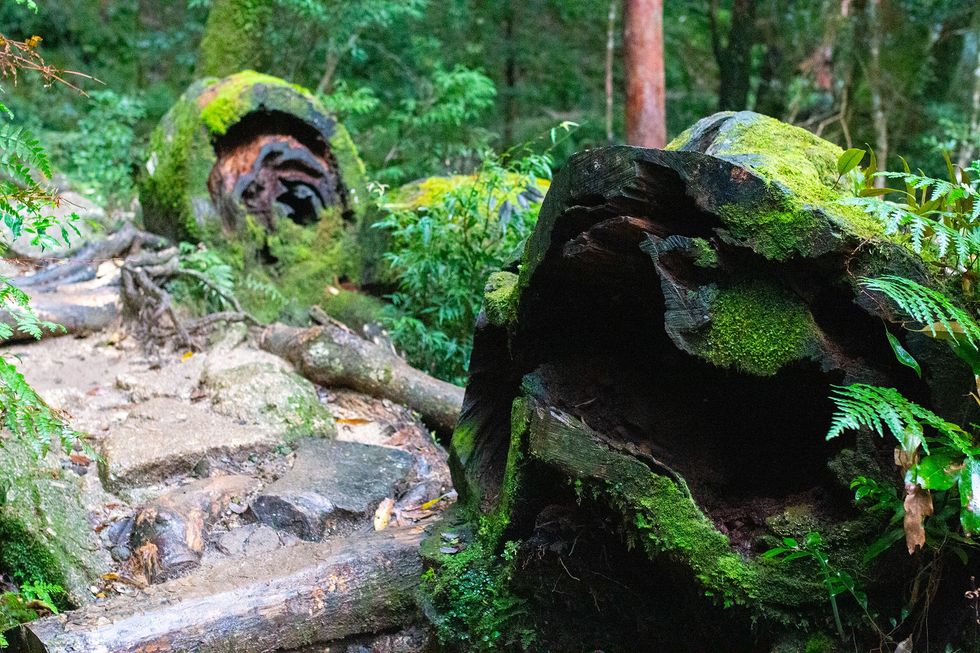 Shiratani Unsuikyo, Yakushima Island
