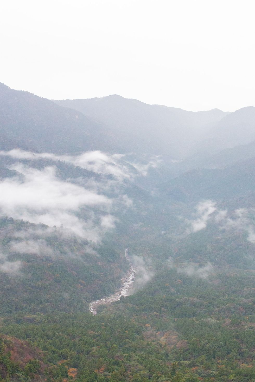 Shiratani Unsuikyo, Yakushima Island