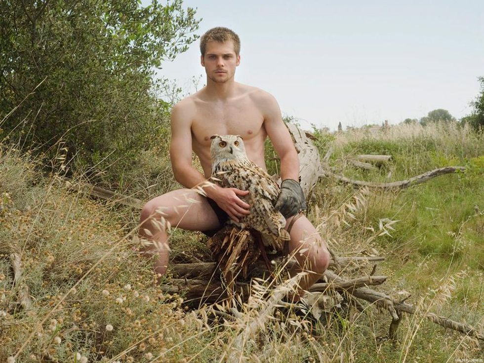 Siberian Eagle-Owl (Bubo bubo sibiricus)