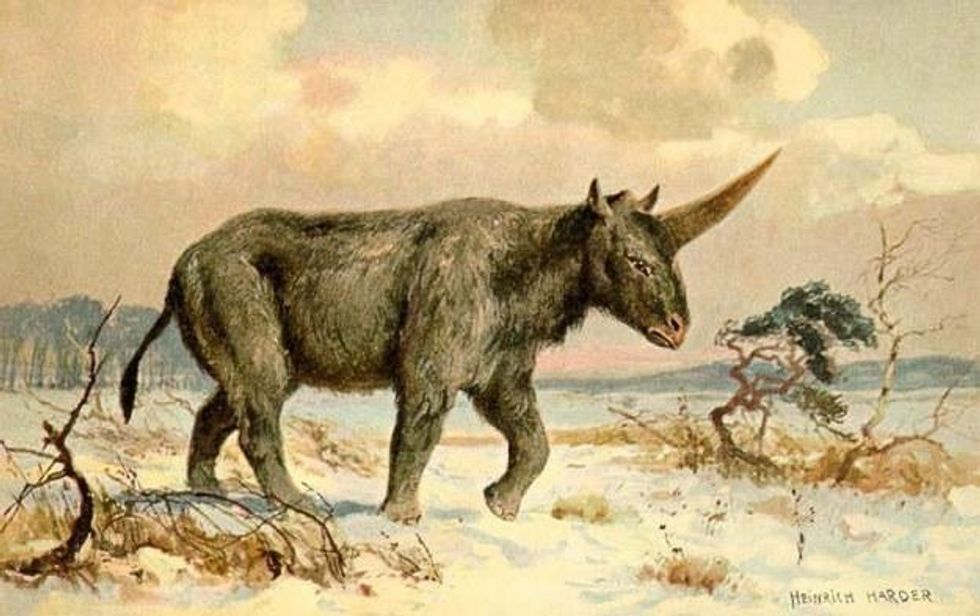 New Fossil Evidence Suggests Unicorns Lived At the Same Time as Humans