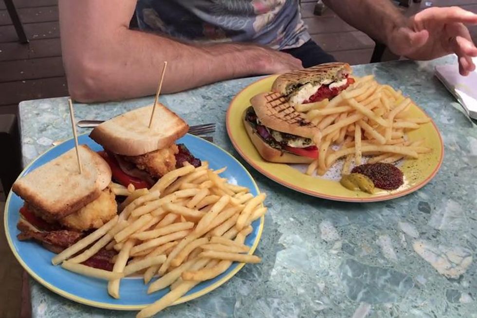 Sixtoedcat_forupload