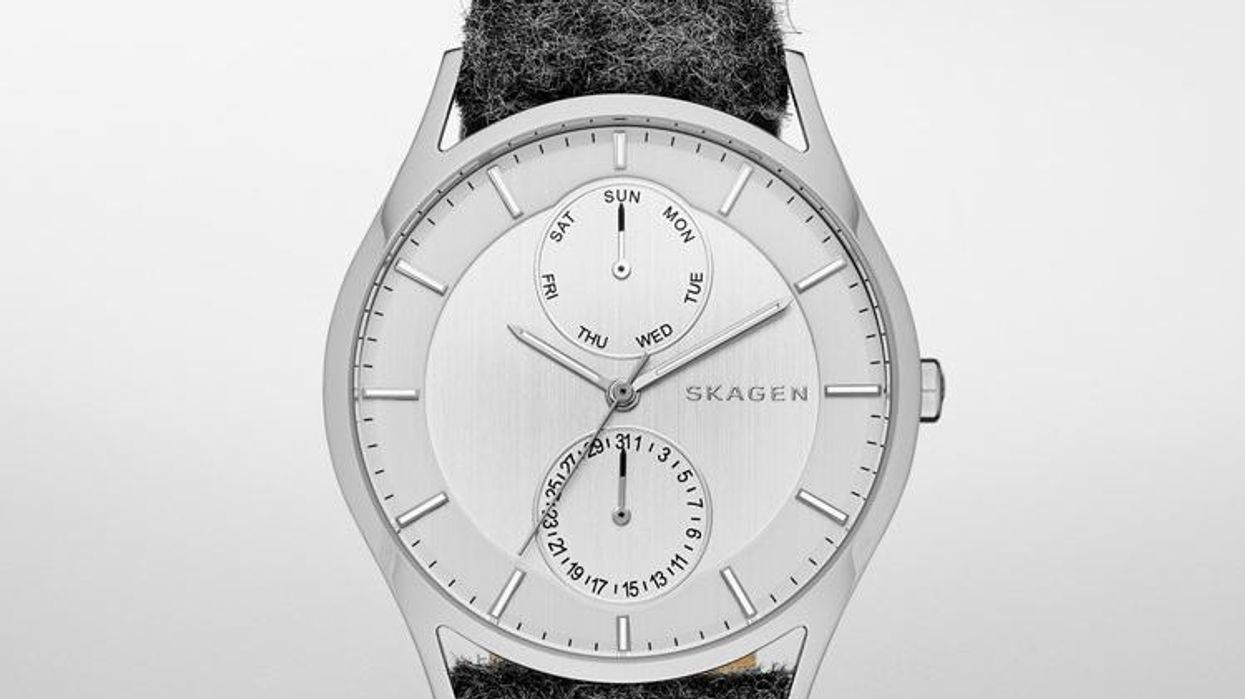 Skagen Holst Felt watch