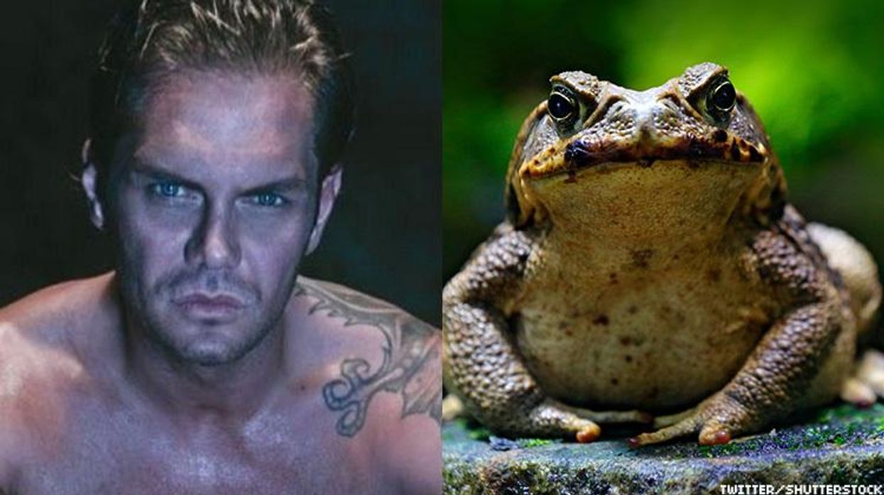 Spanish adult film performer and gay adult producer Nacho Vidal was arrested for manslaughter after being accused of acting as a shaman in a ritual where a person died after inhaling pscyhedelic toad toxin