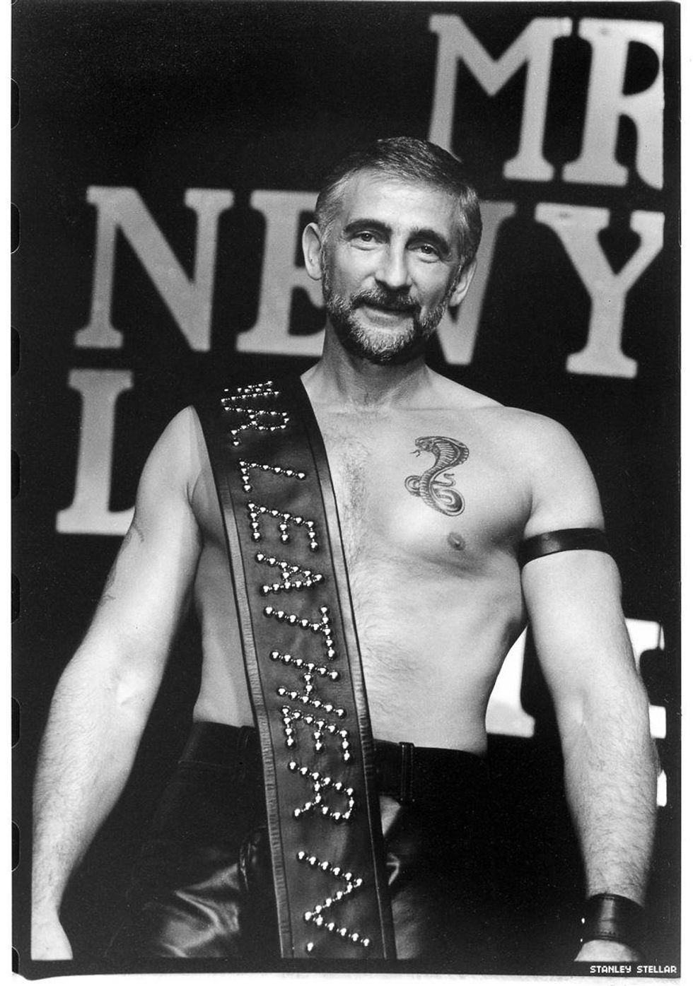 Stanley Stellar: Night, Life