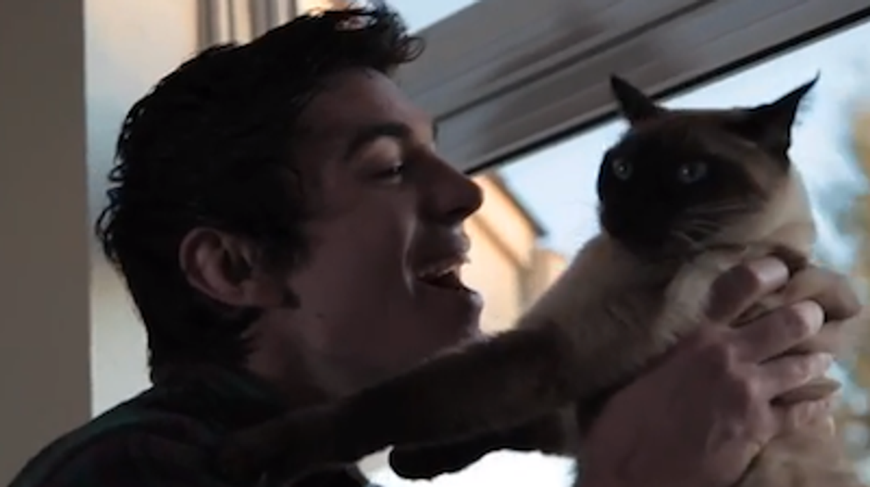 Steve-grand-cat-main_0