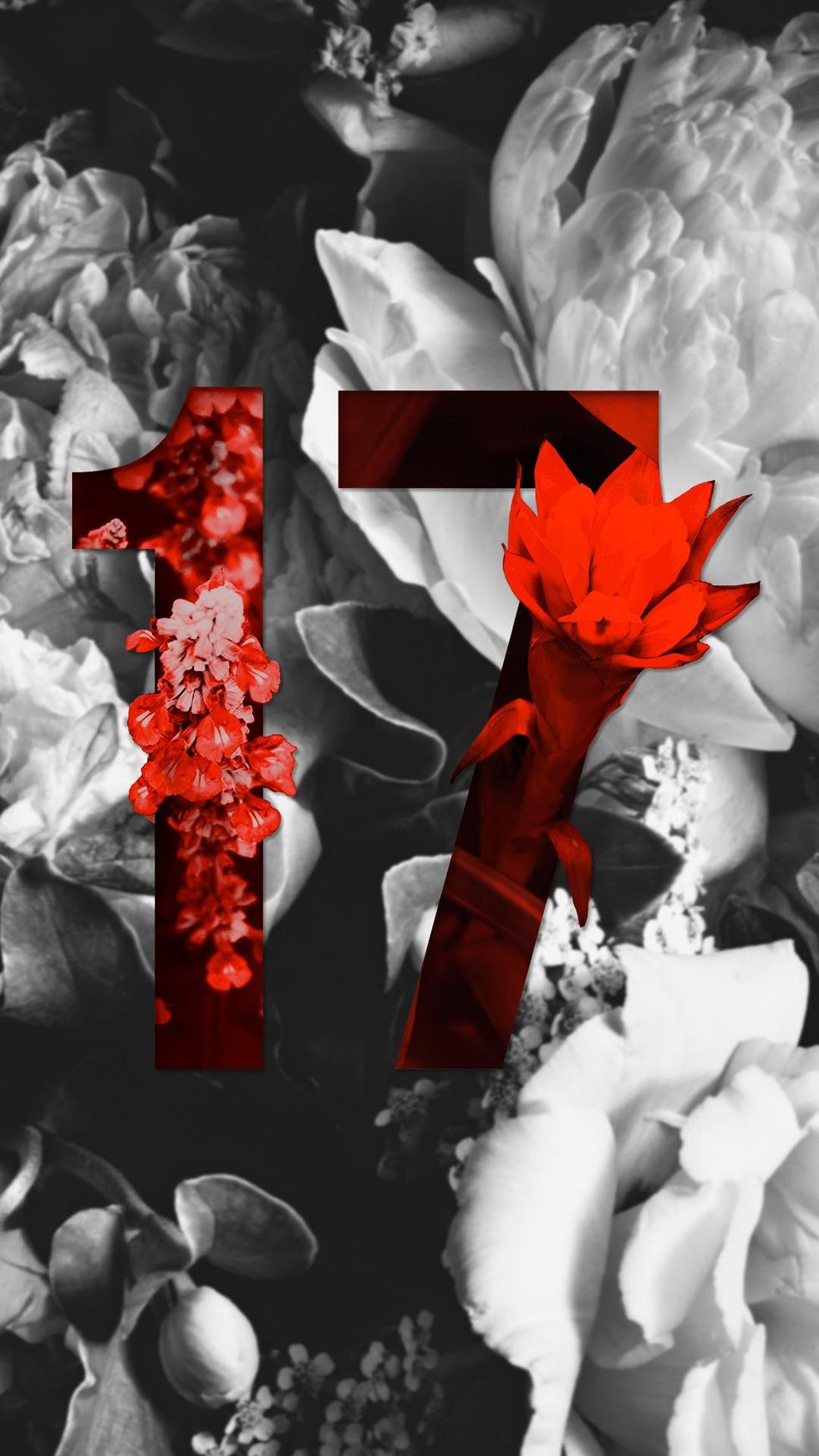 Stories from Seventeen, inspired by Troye Sivan's "Bloom"