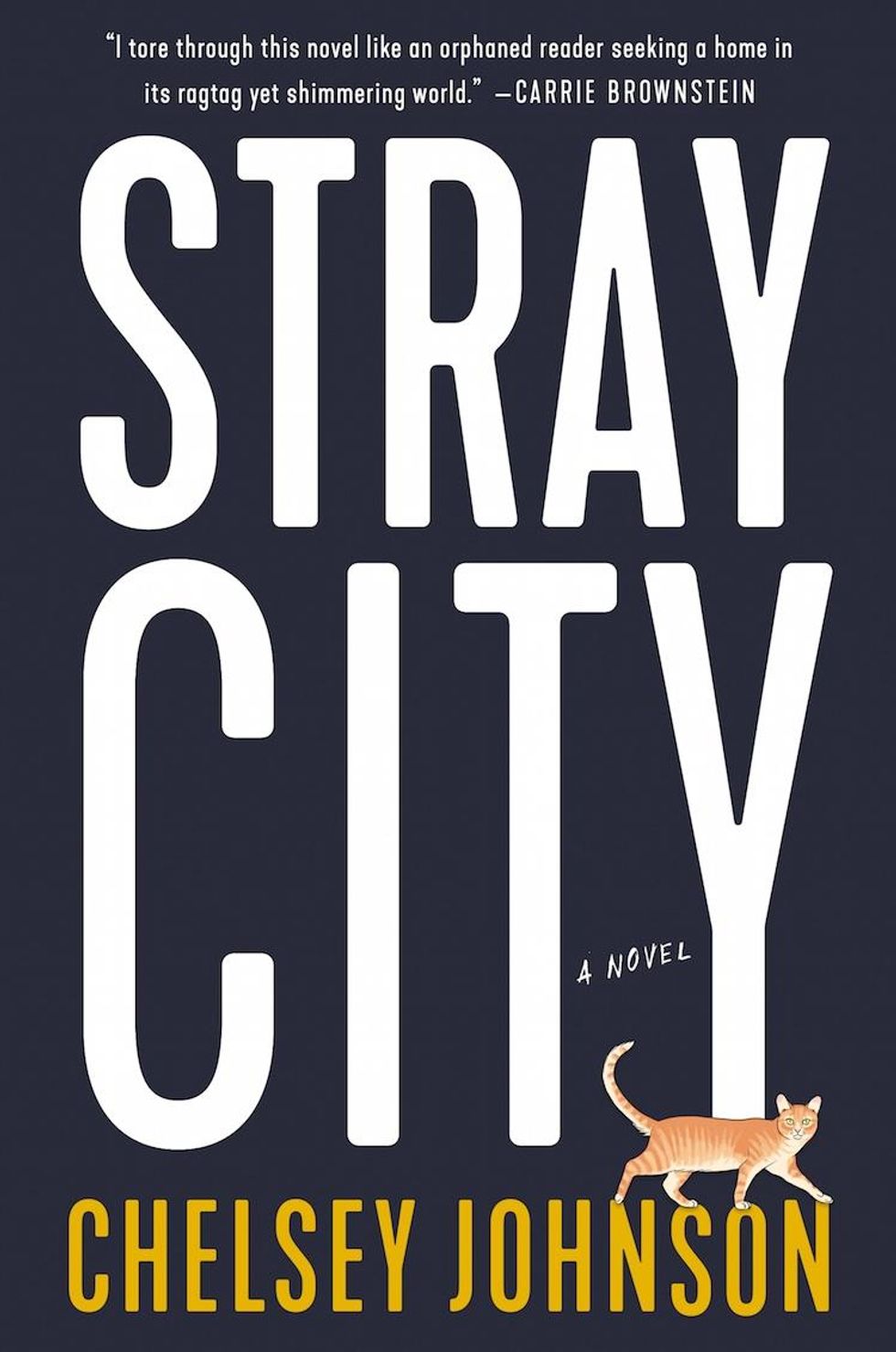 Stray_city_cover