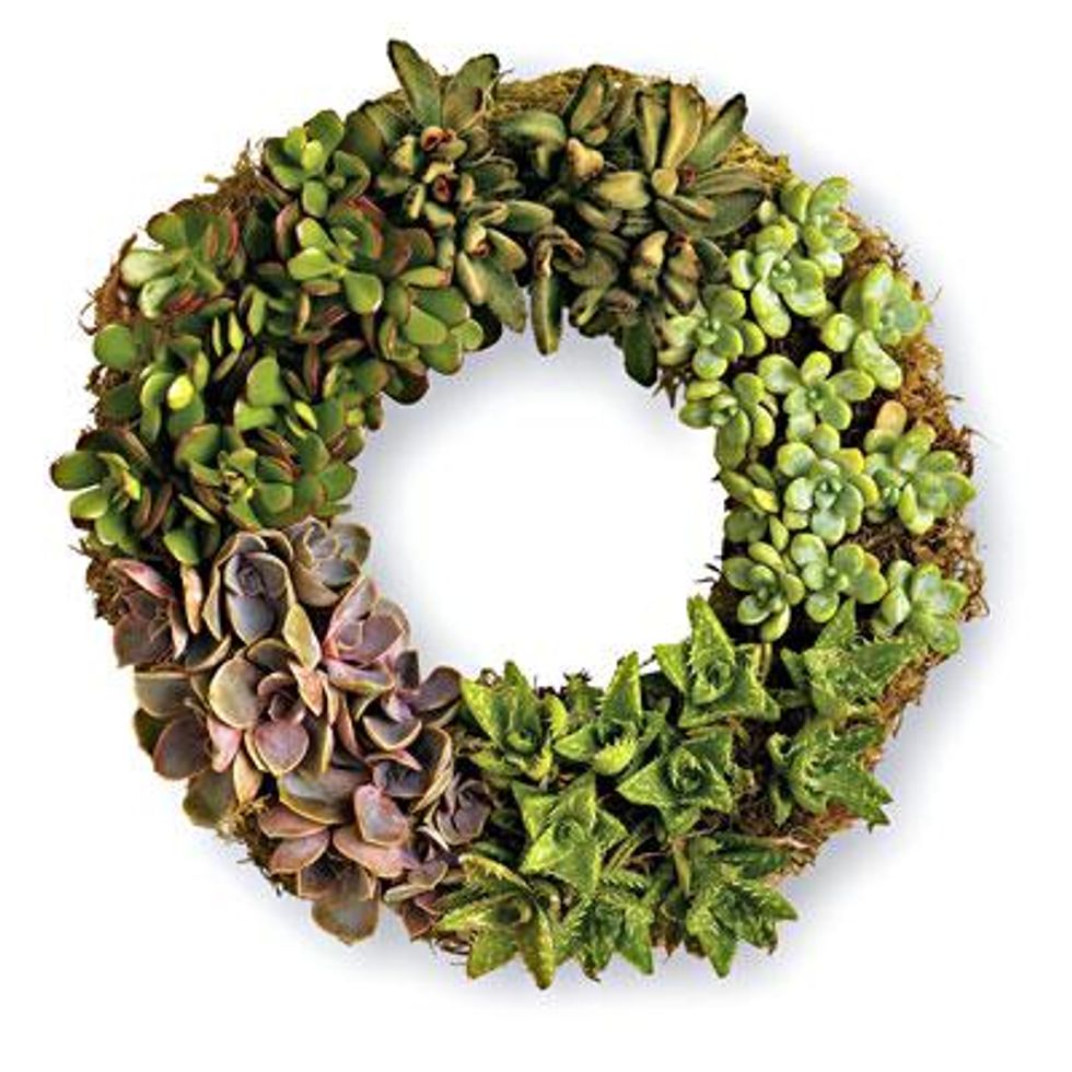 Succulent wreath