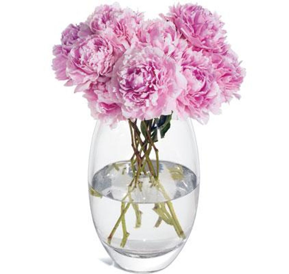 Summer-Entertaining-Yigit-Pura