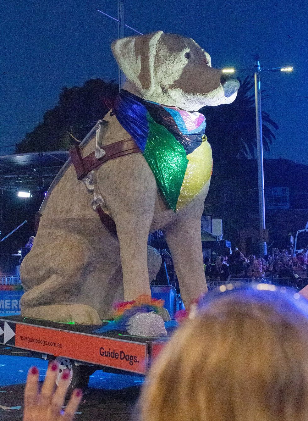 Sydney Australia LGBTQ Mardi Gras parade public celebration 2025