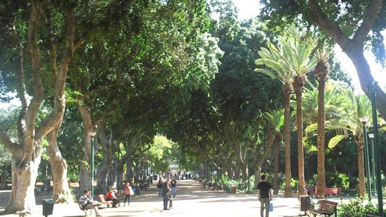 Telaviv_meirpark