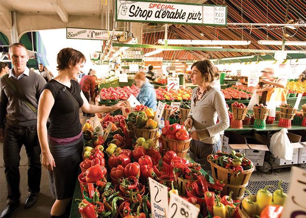 The "Attempting to Find Out if Charlotte's BF is Gay" Look