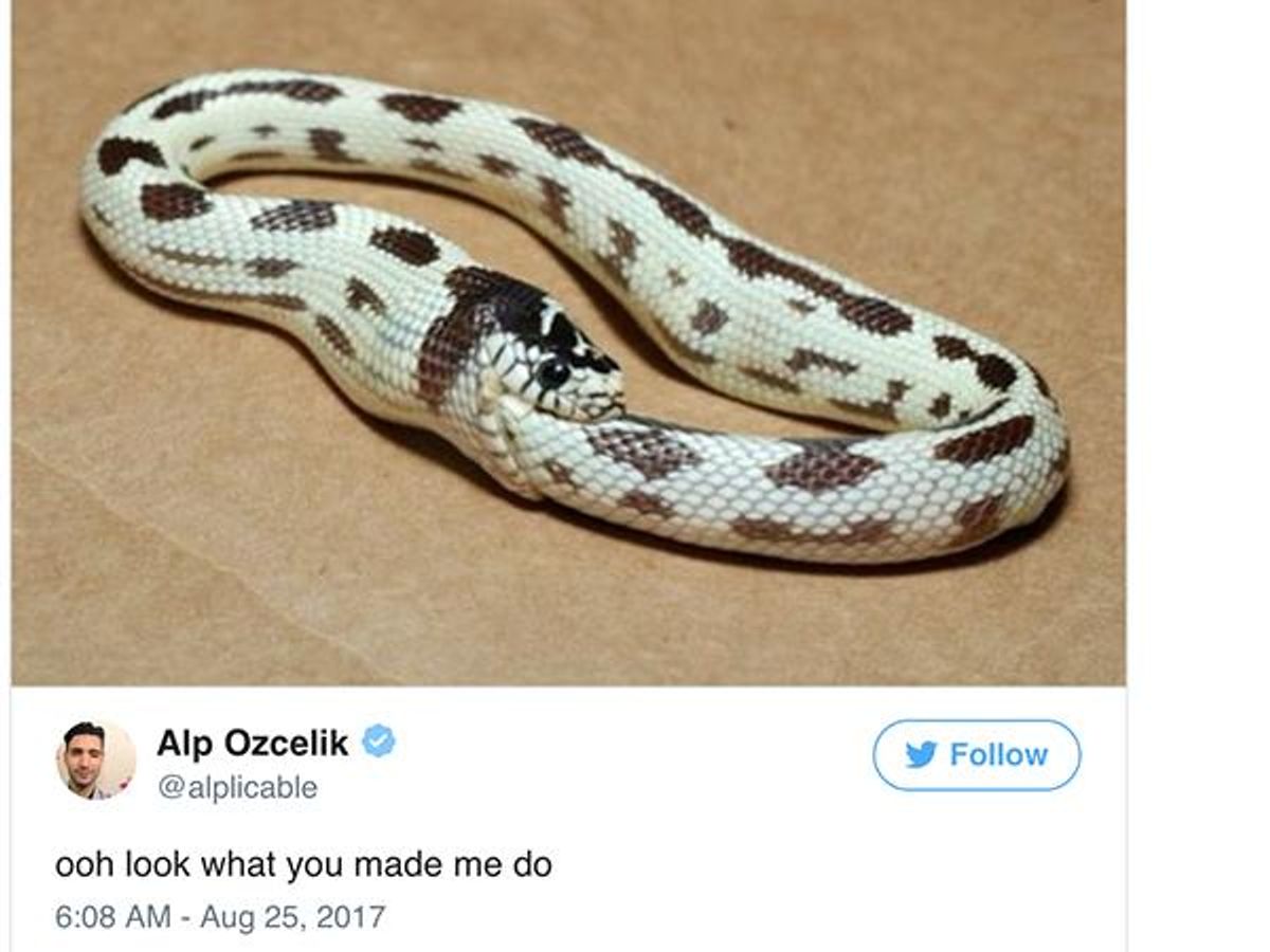 The Best Twitter Reactions to Taylor Swift's New Song