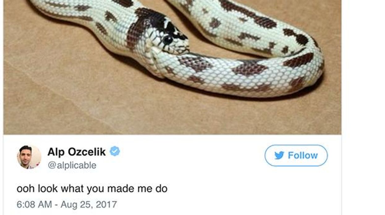 The Best Twitter Reactions to Taylor Swift's New Song