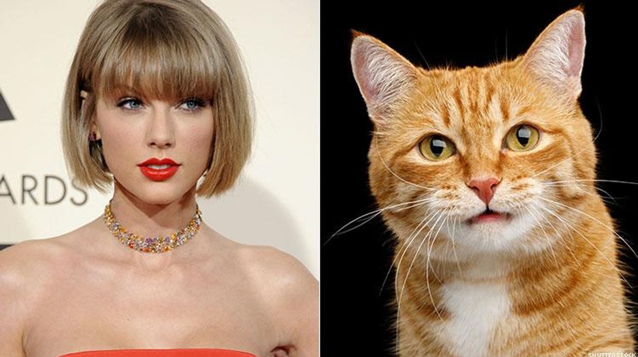 The Cats in the 'Cats’ Movie Will Be Cat-Sized