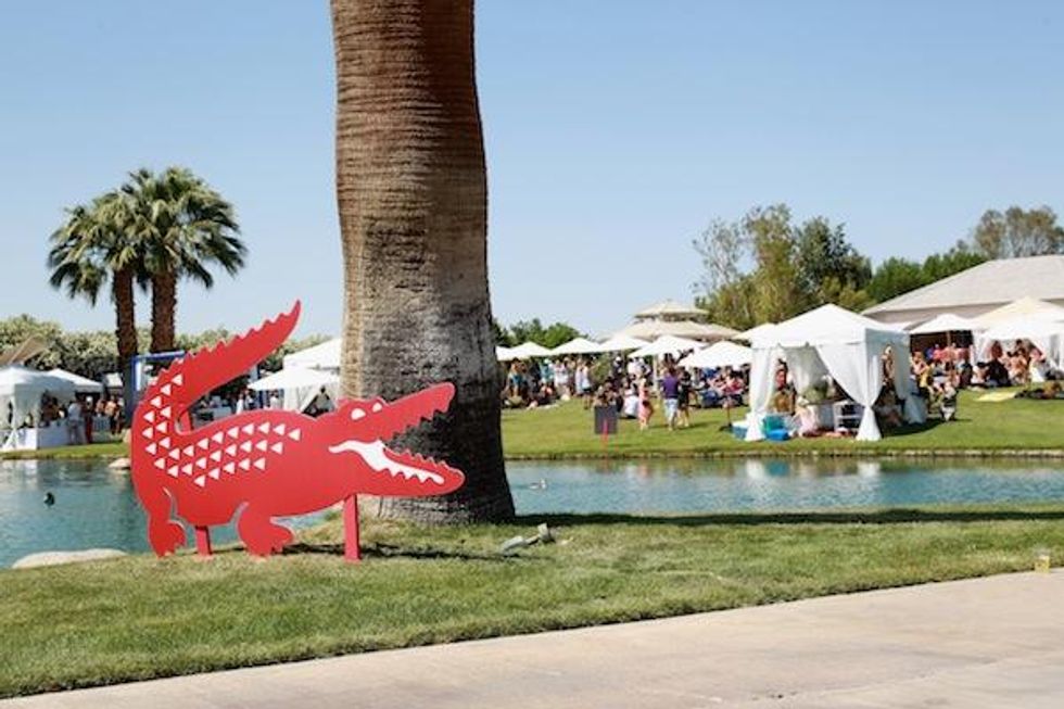 The Estate with Lacoste Gator